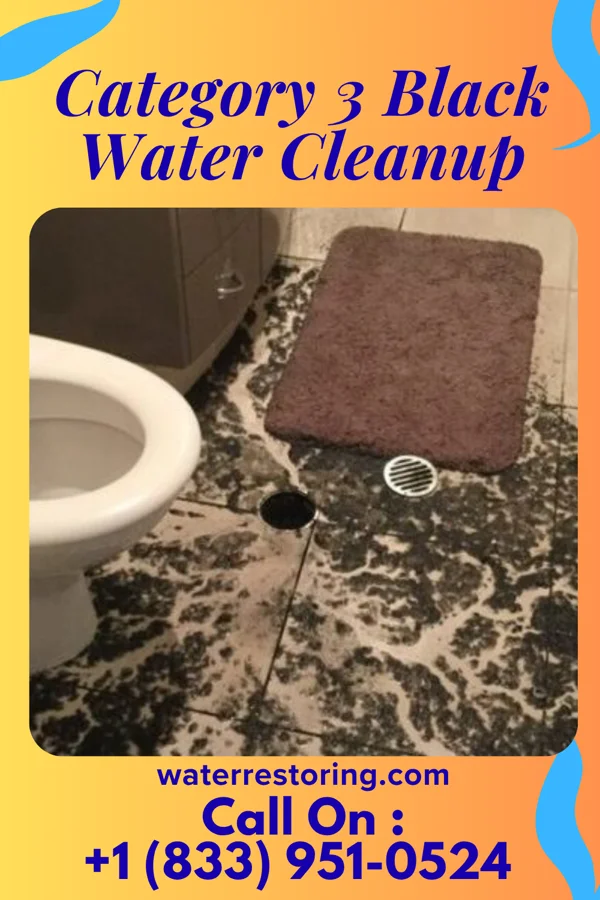 Category 3 Black Water Cleanup in Stryker, OH