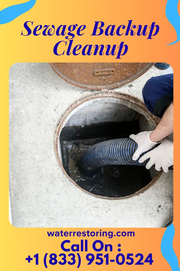 Sewage Backup Cleanup in Stryker, OH