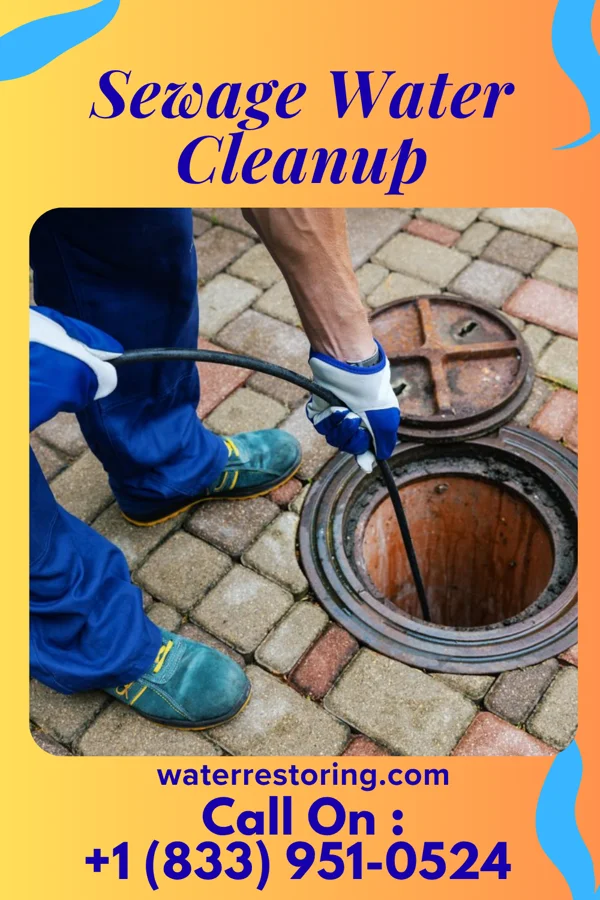 Sewage Water Cleanup in Stryker, OH